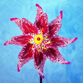 Pinwheel Magenta Orchid