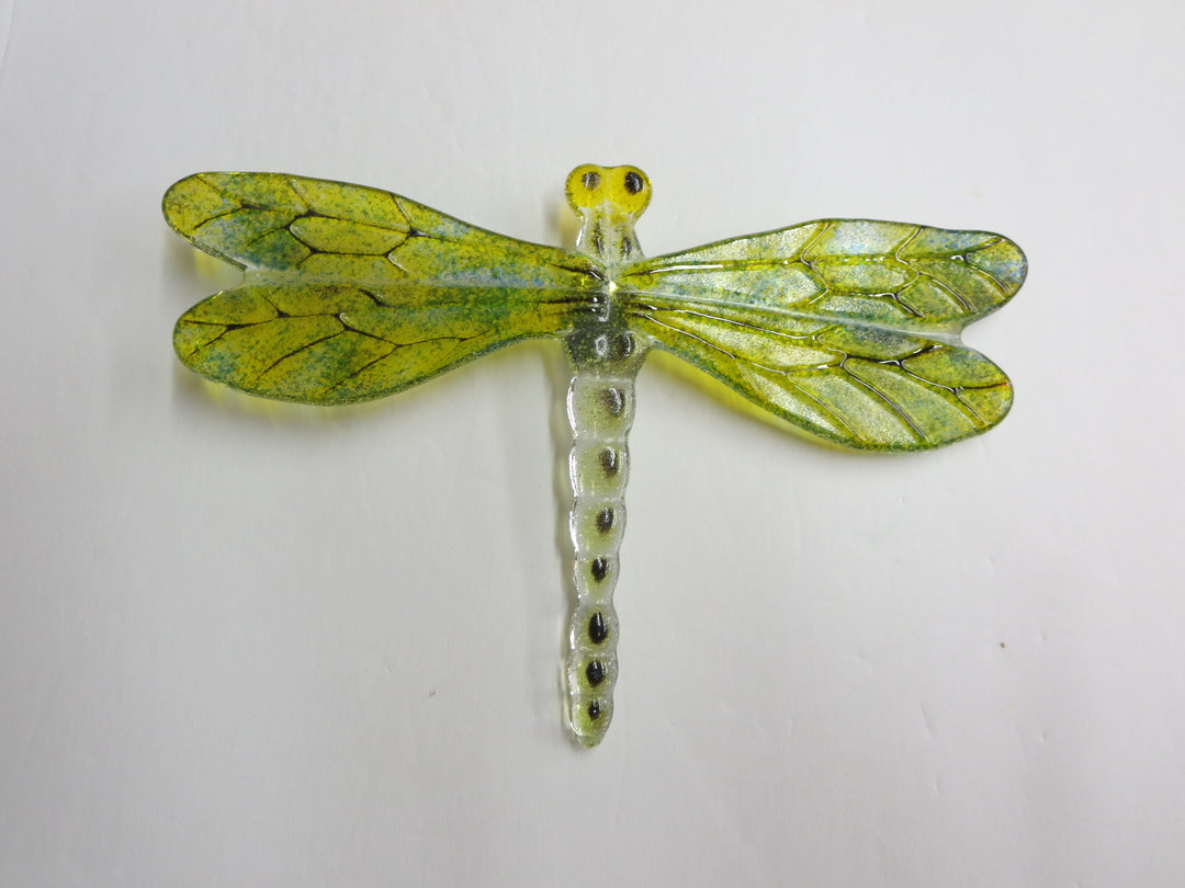 Bug Eye Dragonfly