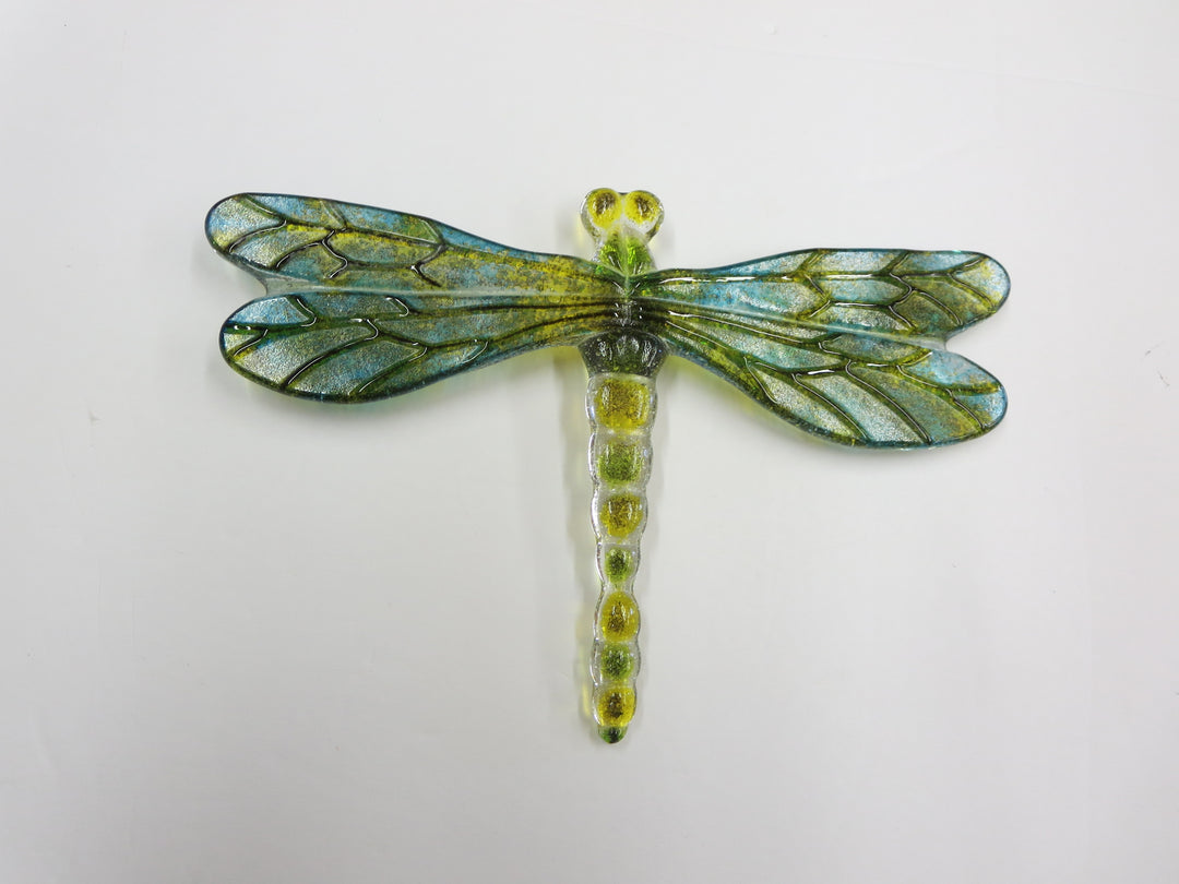 Bug Eye Dragonfly