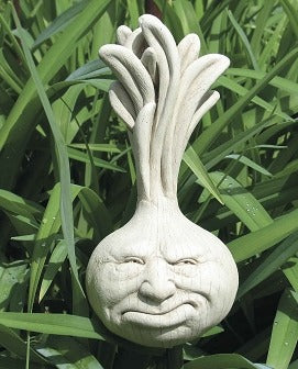 Ornery Onion