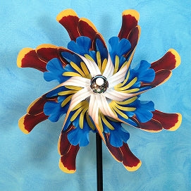 Pinwheel Arizona Wildflowers