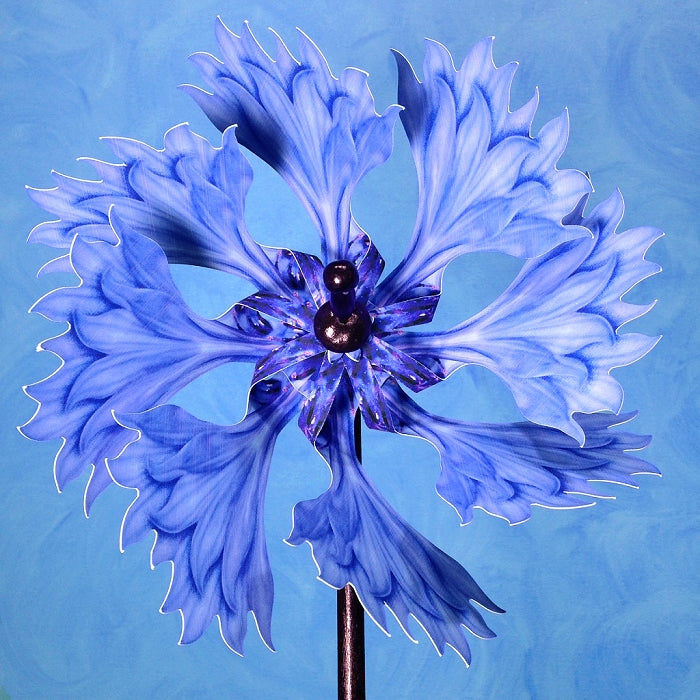 Pinwheel Blue Cornflower