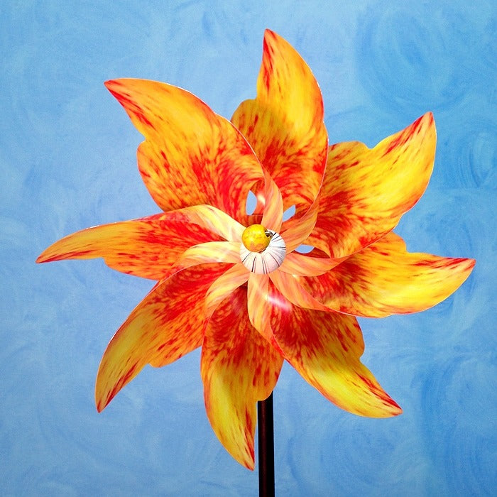 Pinwheel Orange Rose