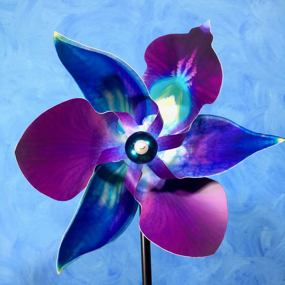 Pinwheel Purple + Turquoise Cymbidium