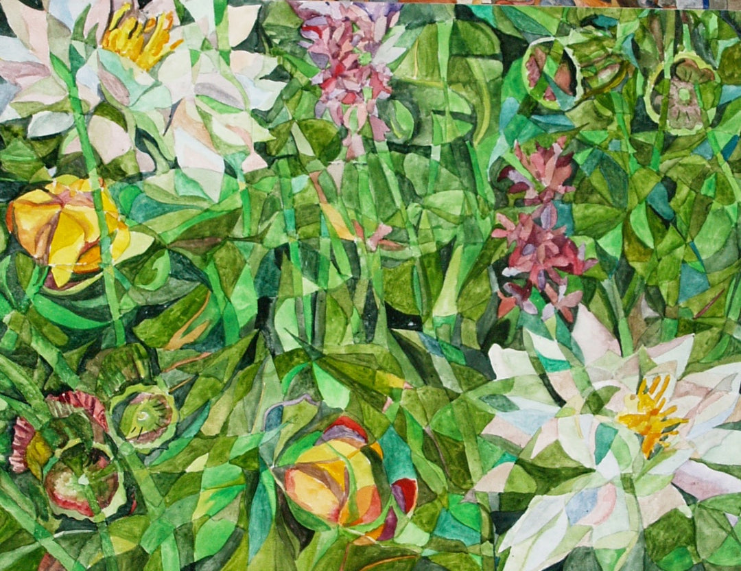 Lagoon II