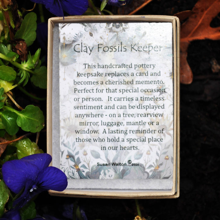 Heart To Plant a Seed