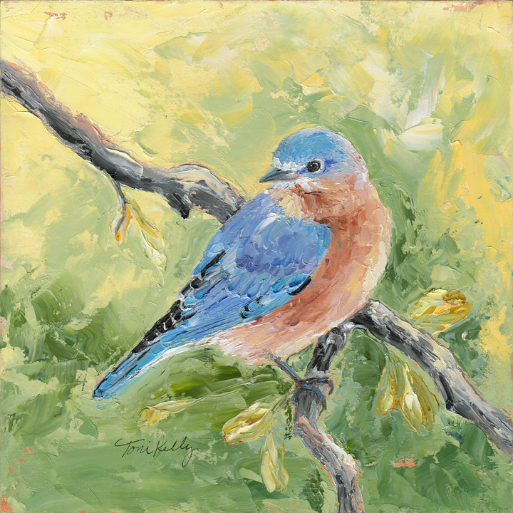 Here's Looking for You Bluebird
