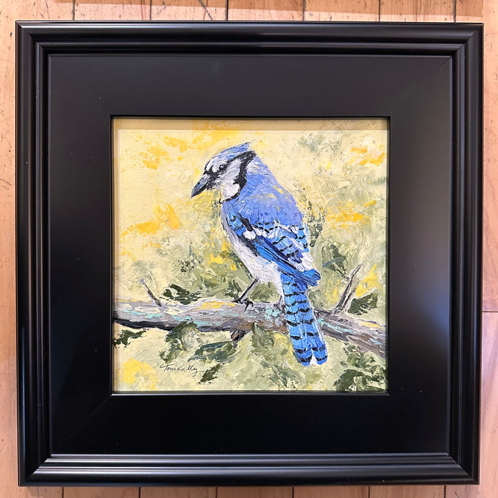 Wisdom Blue Jay