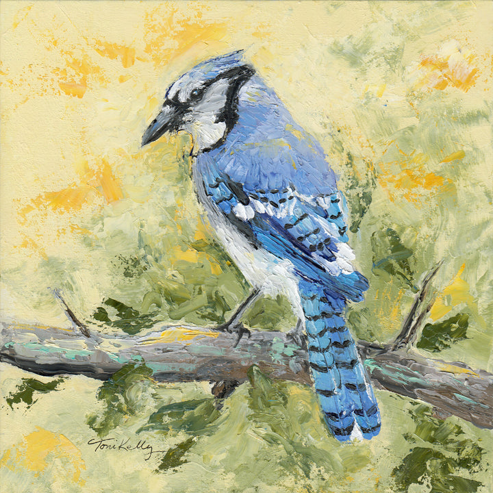 Wisdom Blue Jay