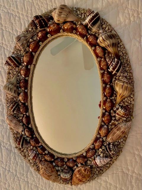 Mirror Welks Olives Conchs