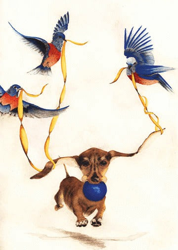 Birthday Card - Have a Ball