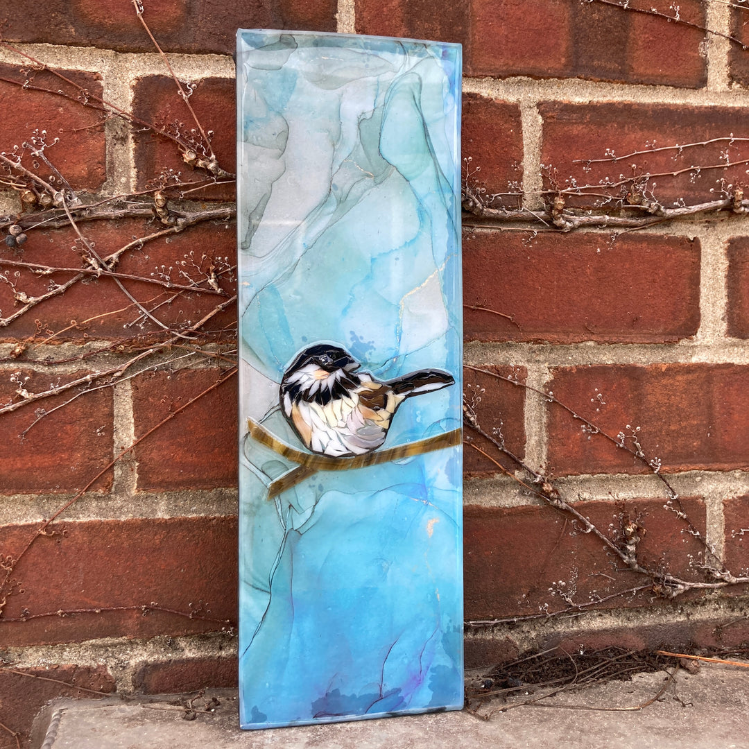 Black-capped Chickadee