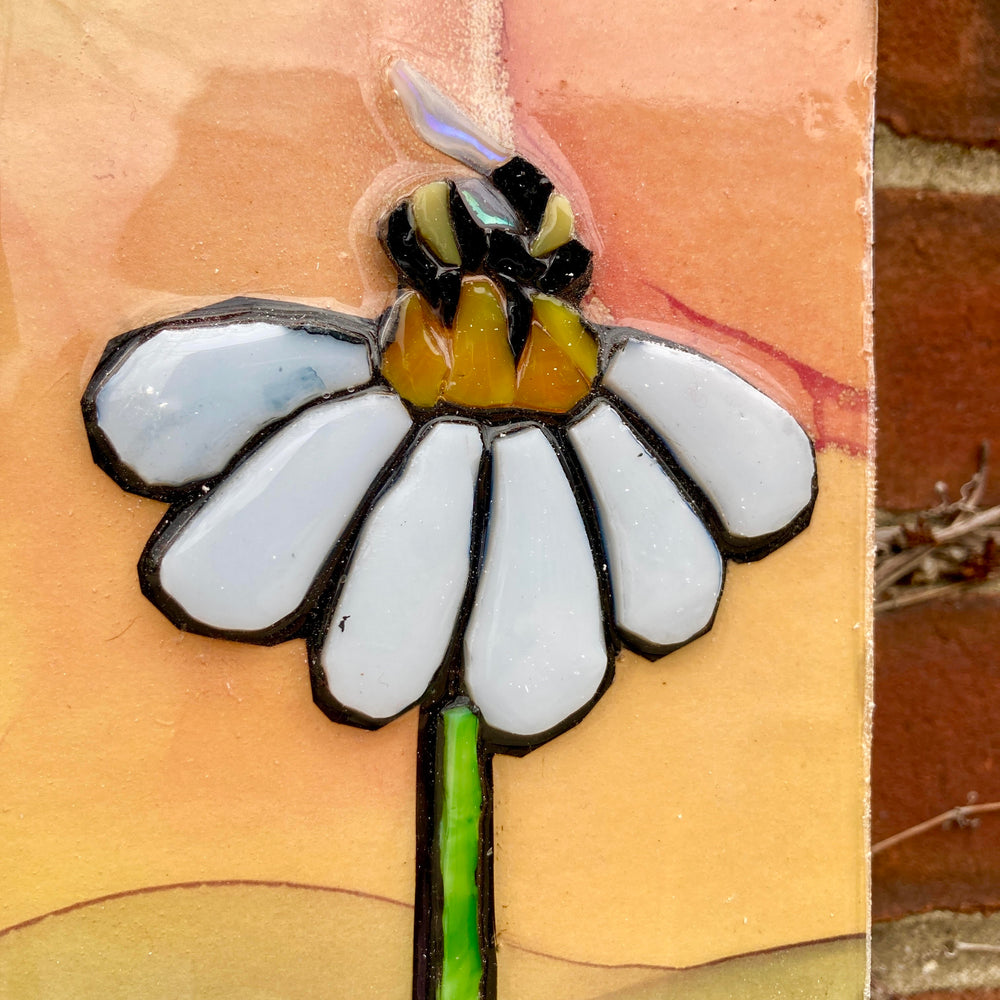 Bee On Daisy
