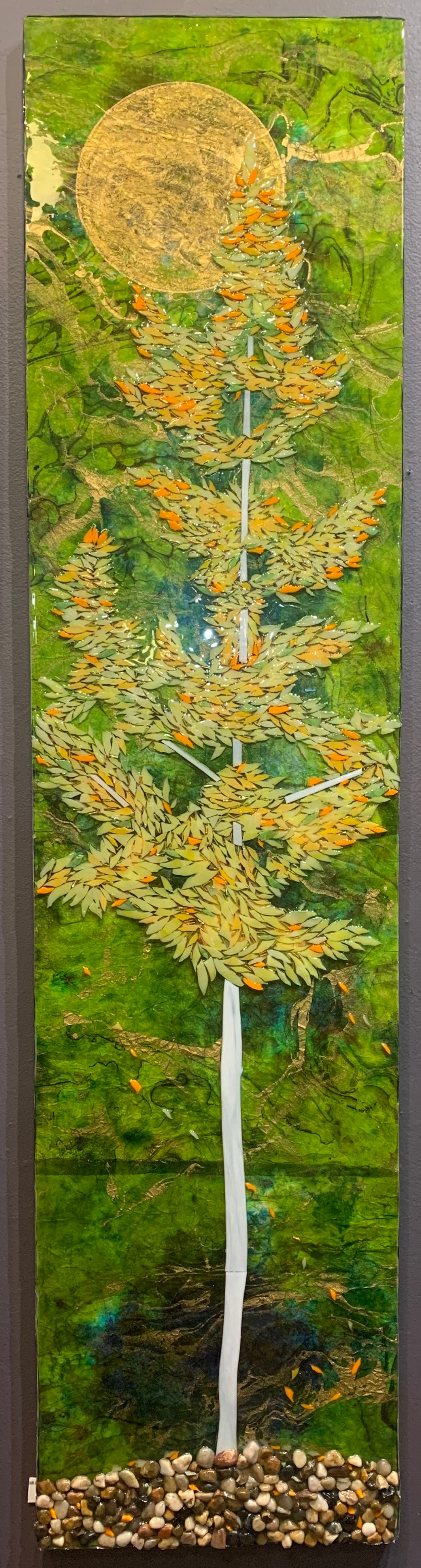 Aspen Tree